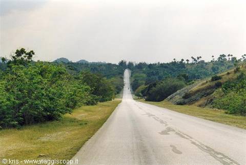 Straight asphalt road cutting through green hills and bushes, cloudy sky
