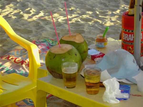 Green coconut with straw and beer glasses on a yellow table on the sand