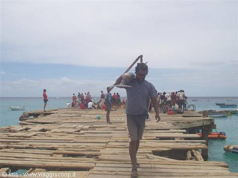 Man carries a fish on his shoulder along a wooden jetty among fishermen and boats