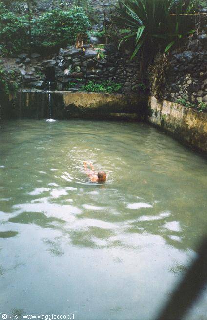 Child swimming in green stone pool, small waterfall among walls and plants