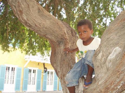 Child in white t-shirt sitting on a large tree trunk in front of yellow house