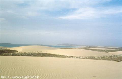 Pale sand dunes with sparse vegetation facing the sea, cloudy sky