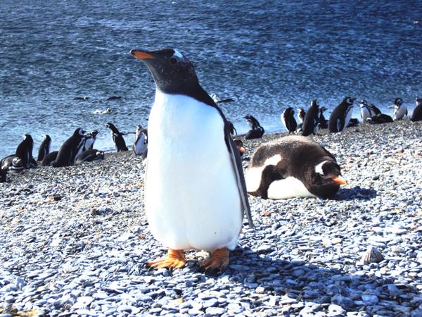 Tierra del Fuego