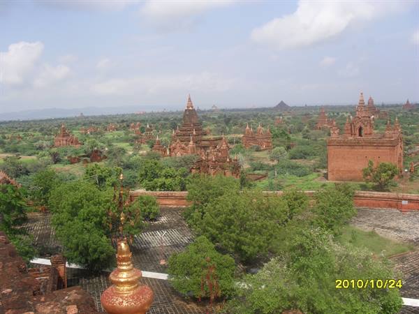 Brick temples and golden stupas rise among green trees in Bagan