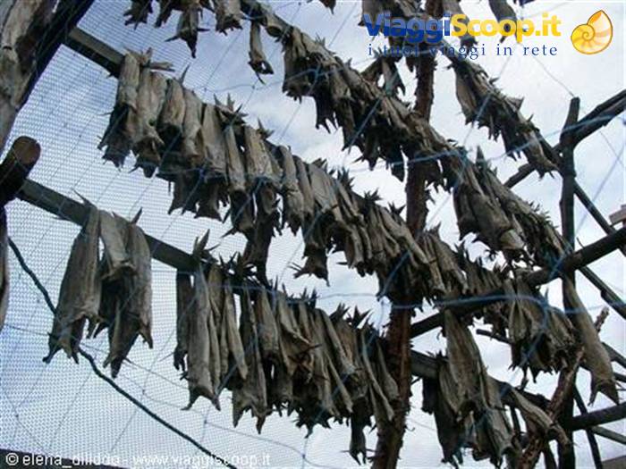 dried fish