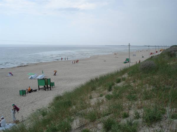 Sandy beach with bathers, umbrellas and grassy dune under grey sky