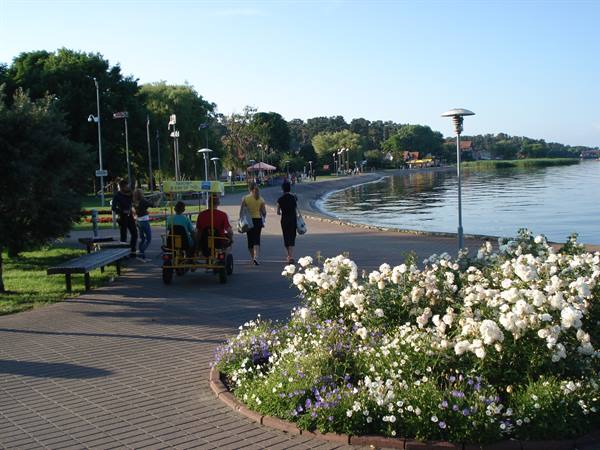 Lakeside promenade with blooming white roses and people cycling by