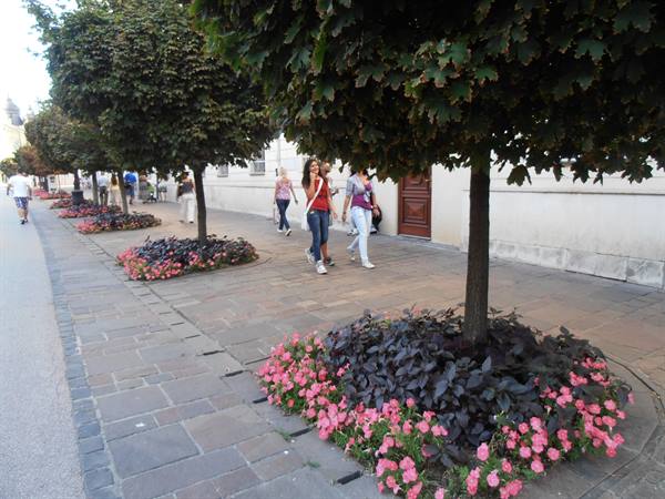 trees and flowers in the centre of Kosice
