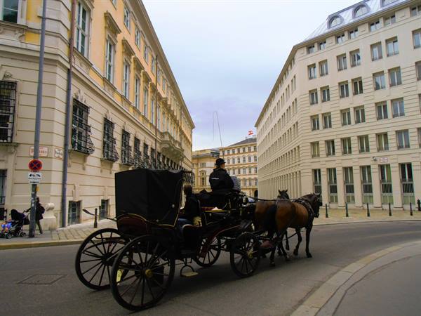 carriages for tourists