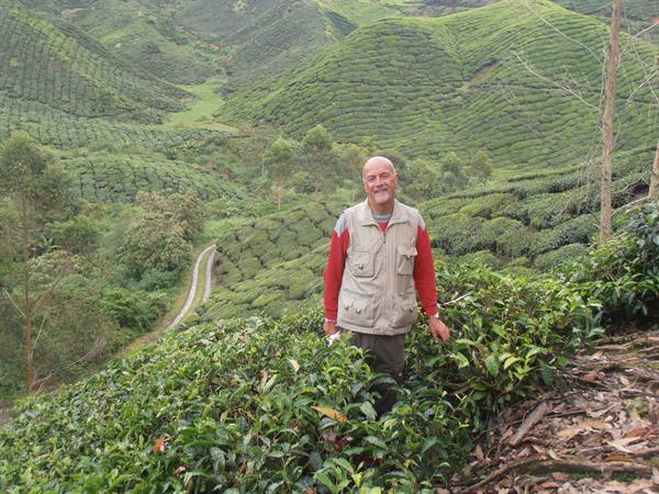 me at the tea plantations, Cameron Highland, Malaysia