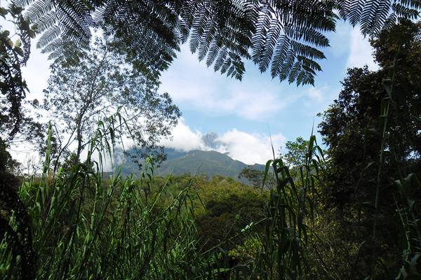 Mount Kinabalu in Sabah,Malaysian Borneo