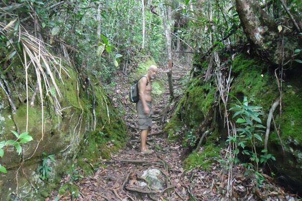trekking in the Bako park near Kuching, Sarawak,Malaysian Borneo