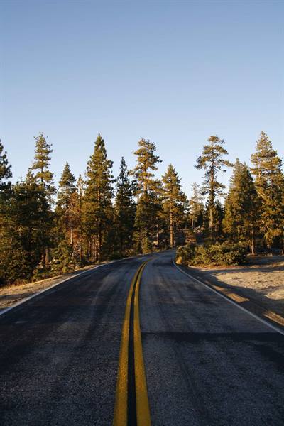 Tioga road