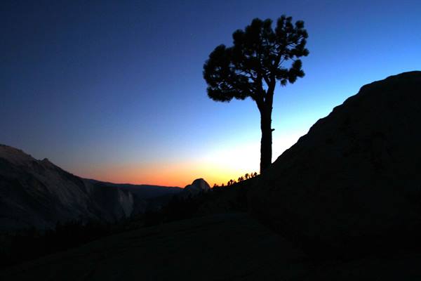 Tioga Pass