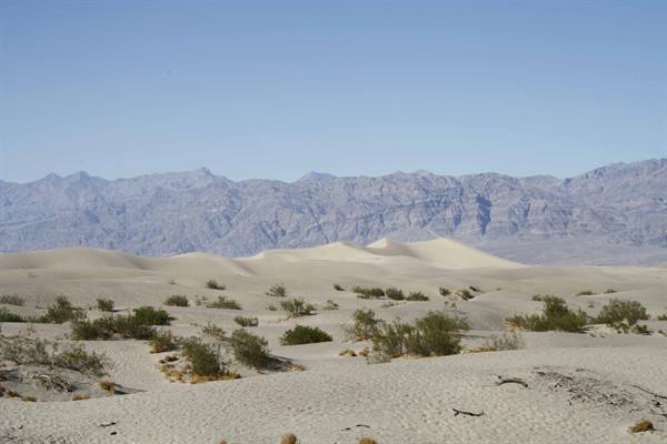 Sand dunes and desert shrubs beneath the rocky mountains of Death Valley