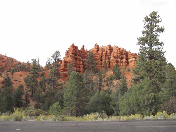 Red rock formations among pine trees along the Red Canyon road