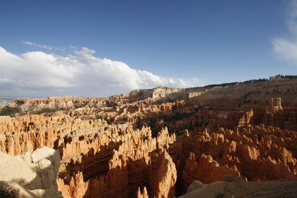Amphitheater of orange hoodoos at Bryce Canyon under blue sky with clouds