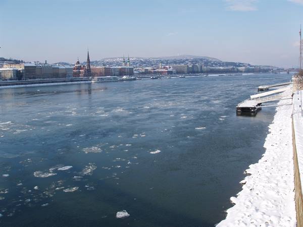 Frozen Danube