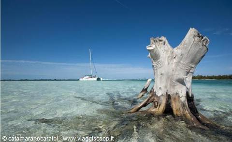 Cuba Cruises with catamaranocaraibi.com