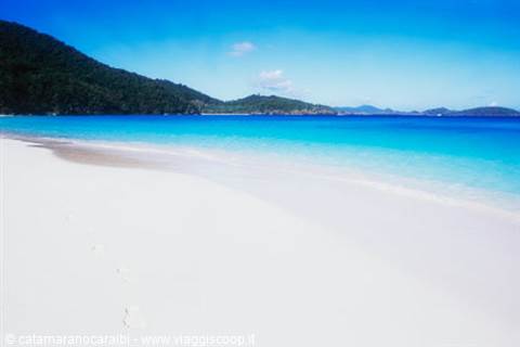 Catamaran in the Caribbean - Catamaranocaraibi.com