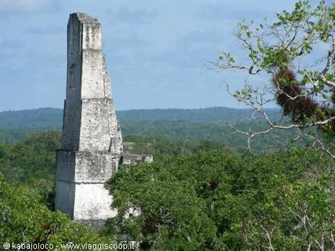 Tikal (Guatemala): the pyramids and the jungle