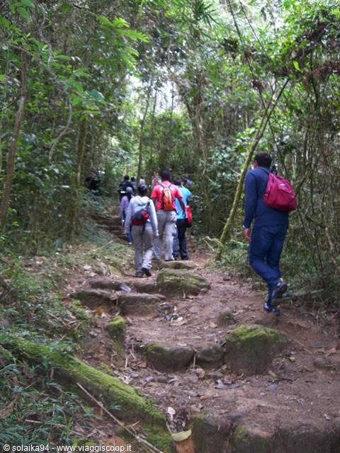Ranomafana Park, climb