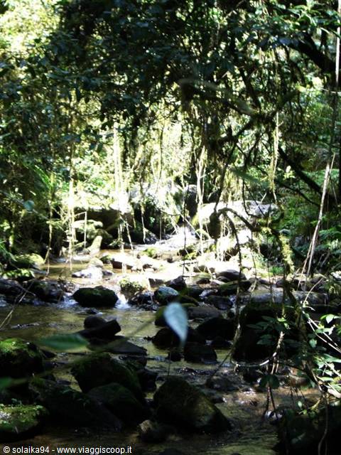 Ranomafana Park