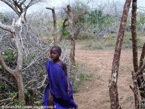 The little Maasai