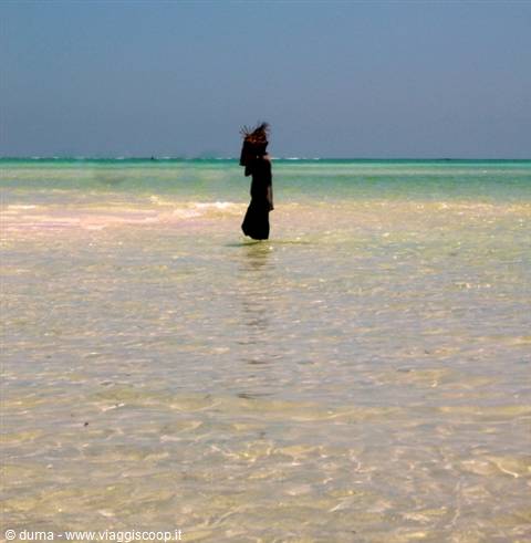 the elegance on the water