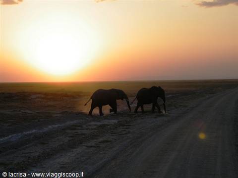 sunset in amboseli