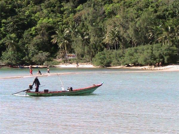 Green fishing boat near palm-fringed beach with people wading