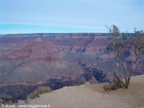 Wild West - Arizona - Grand Canyon