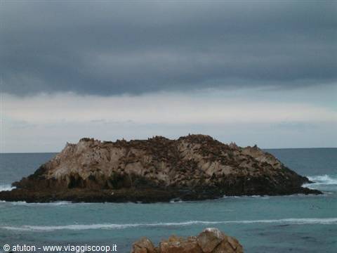 California - The sea lion island along the A1