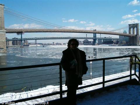 Ice under the Bridge