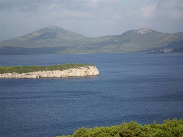 GULF OF PORTO CONTE