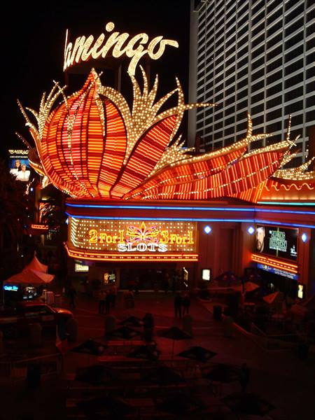 Neon signs of the Flamingo hotel in Las Vegas light up the night
