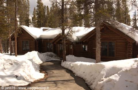 Log cabin covered in snow among pines, path cleared through snow