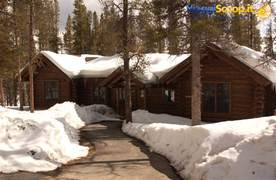 Log cabin covered in snow among pines, path cleared through snow