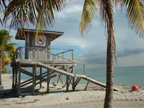 Wooden lifeguard tower on the beach, between palm trees and a sand ramp