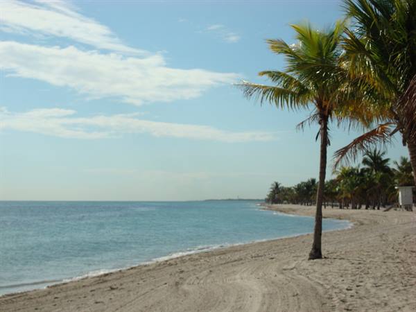 Light sandy beach with palm trees and turquoise sea, gentle waves ashore