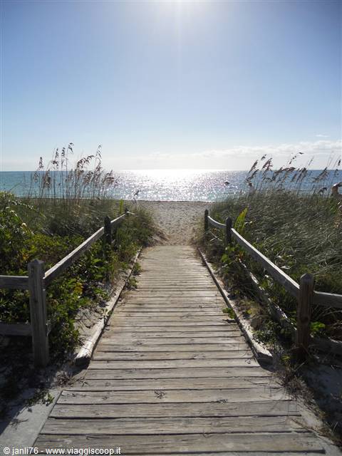 Wooden boardwalk through dunes and sea oats toward the sunny beach