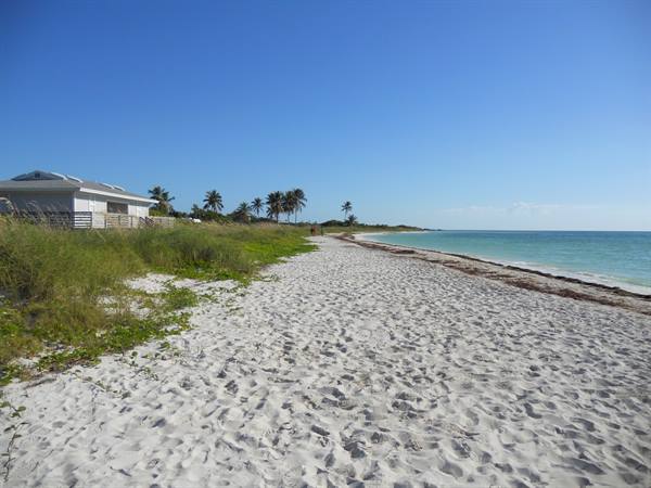 White sand beach with houses, palm trees, greenery and blue sky