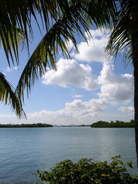 Palm fronds over calm water, green islands and white clouds in the sky