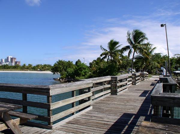 Wooden boardwalk with palms and beach behind, Oleta River State Park, Miami