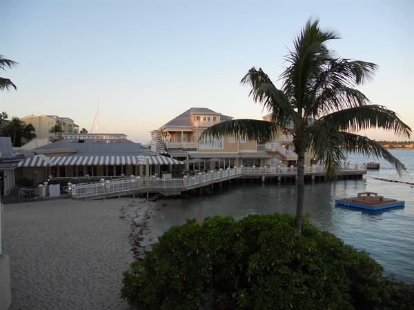 Palm tree by sandy beach and wooden pier restaurant, Key West