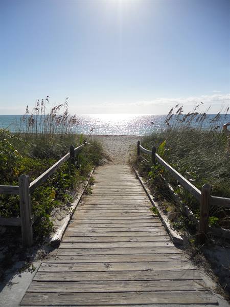 Wooden boardwalk through dune grasses toward the sunlit sea