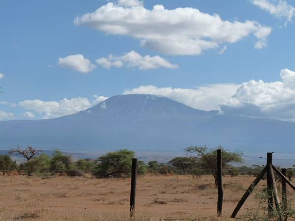 kilimanjaro