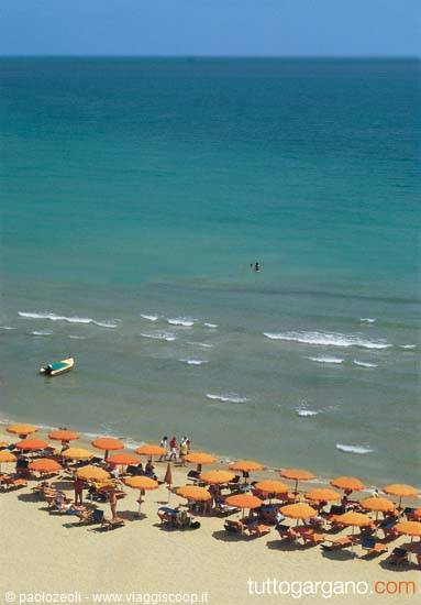 Orange umbrellas on a Gargano beach, turquoise sea with swimmers