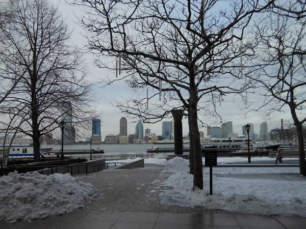 ny under the snow