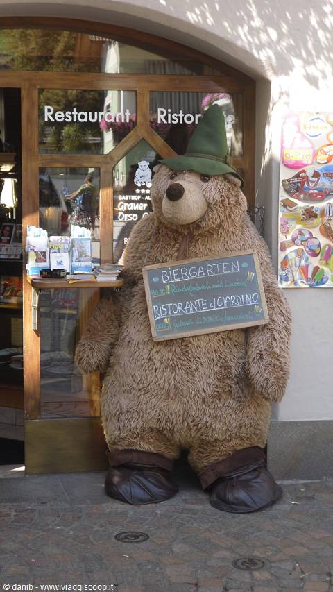 bear at Hotel dell'Orso in Bressanone